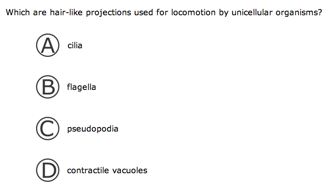 Bacteria Quiz Unit 4 Test | Attempts: 123 - Trivia & Questions